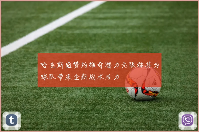 哈克斯盛赞约维奇潜力无限称其为球队带来全新战术活力