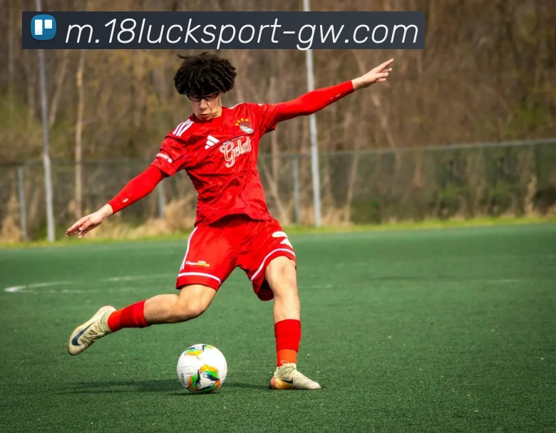 18新利体育平台生态图