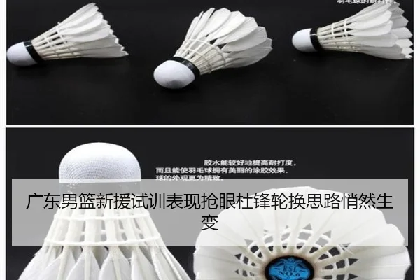 广东男篮新援试训表现抢眼杜锋轮换思路悄然生变（18LUCKSPORTS）